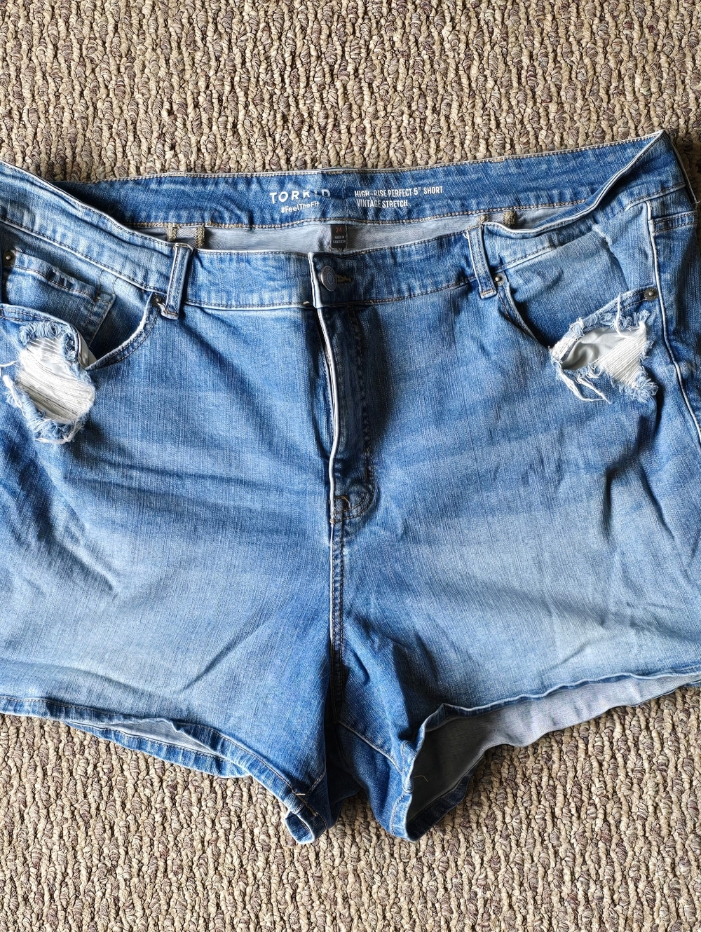 Torrid Distressed High-Rise Jean Shorts Plus 24